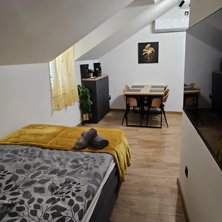 Apartment With Wifi - 19923